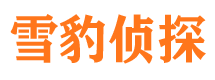 柳河侦探公司